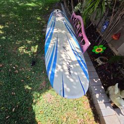 Wavestorm Surfboard