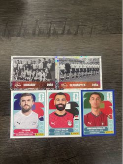 Panini world cup stickers