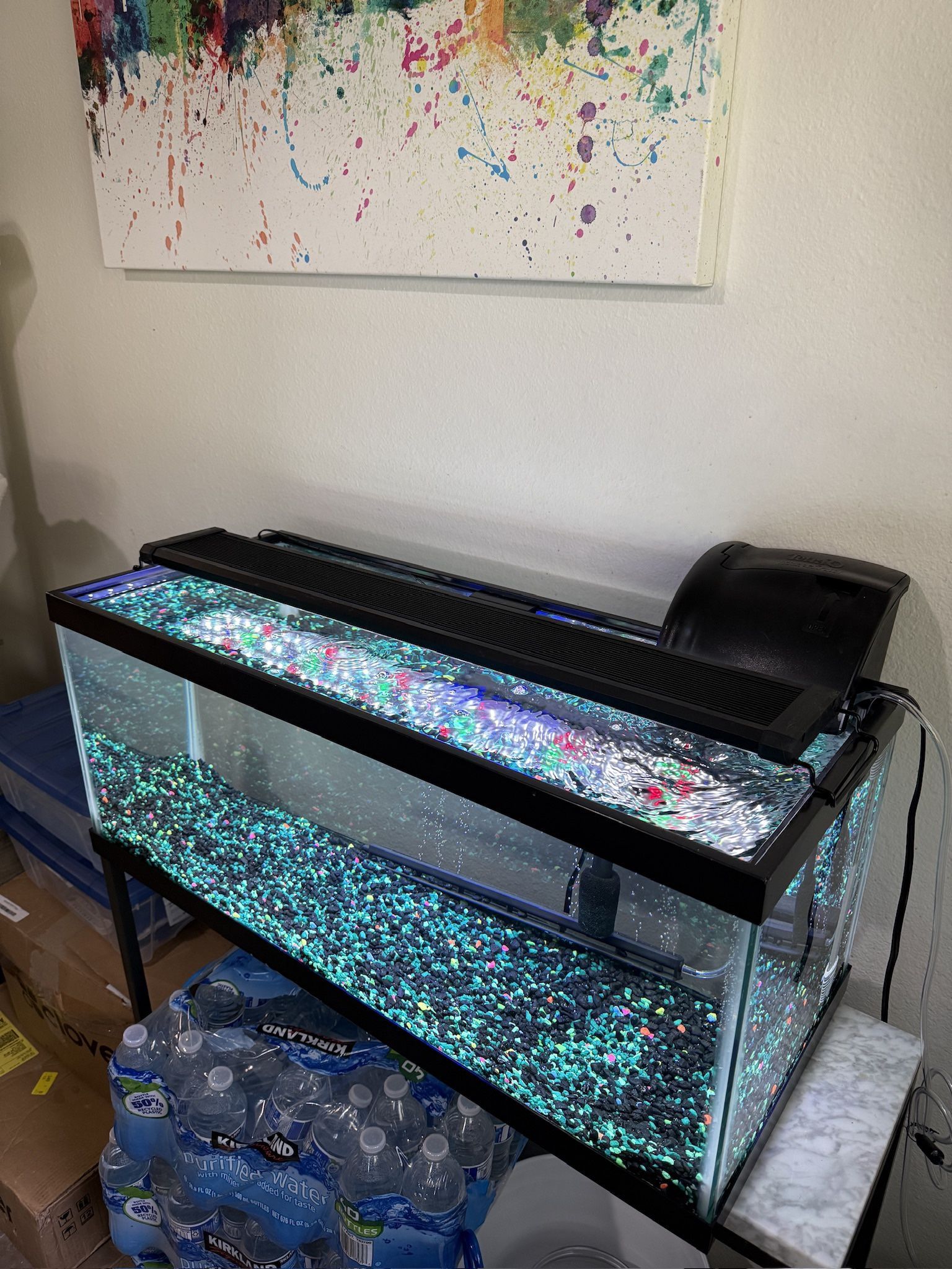 20 Gallon Tank