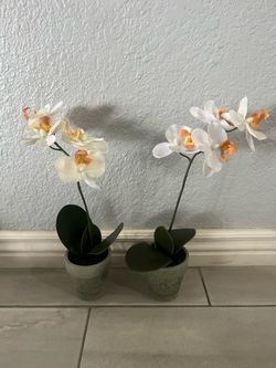 Brand New Artificial Flowers $5 Each