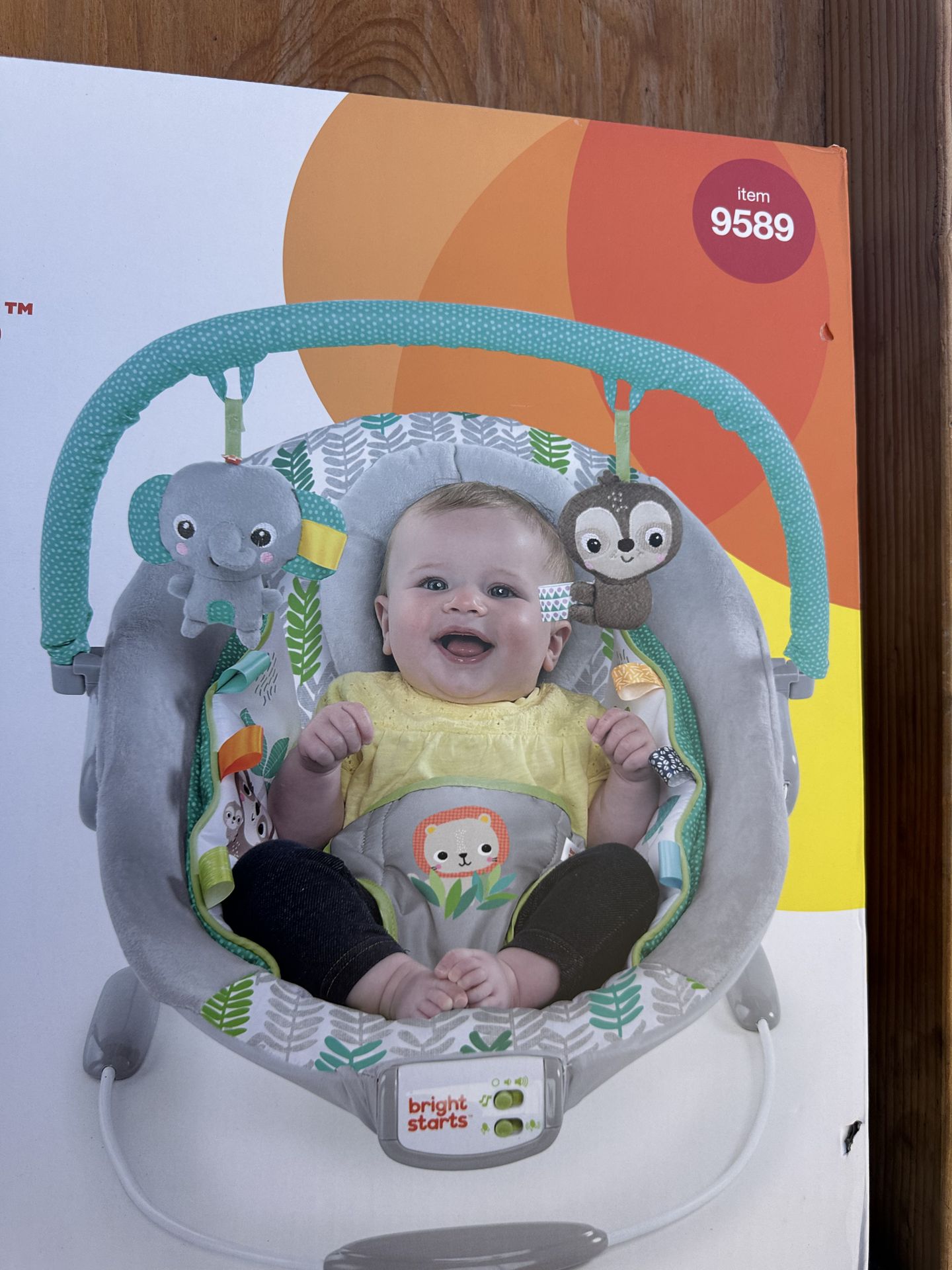 Bright Starts Kids Bouncer
