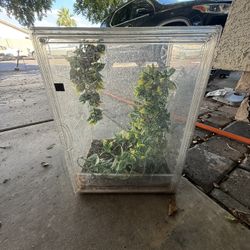 Reptile Tank