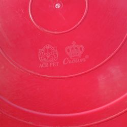 Ace Pet Crown Chicken Hatch 