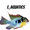 E_aquatics99