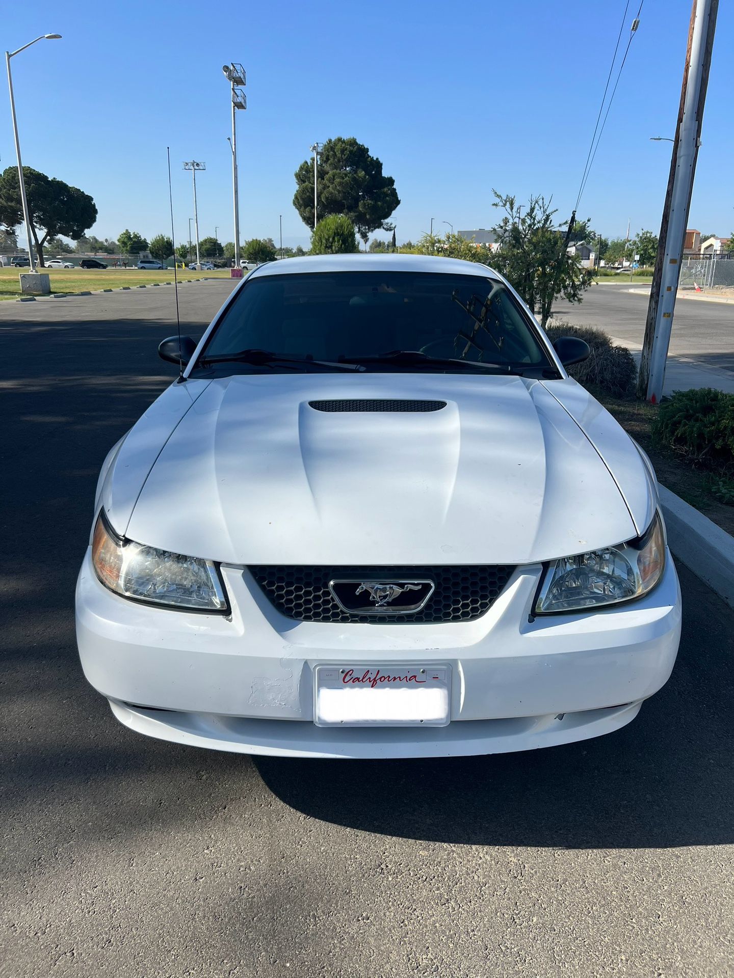 2001 Ford Mustang