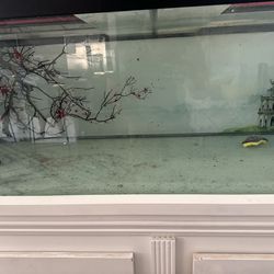 150 Gallon Glass Fish Tank