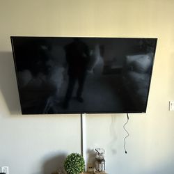 55" Roku Smart TV