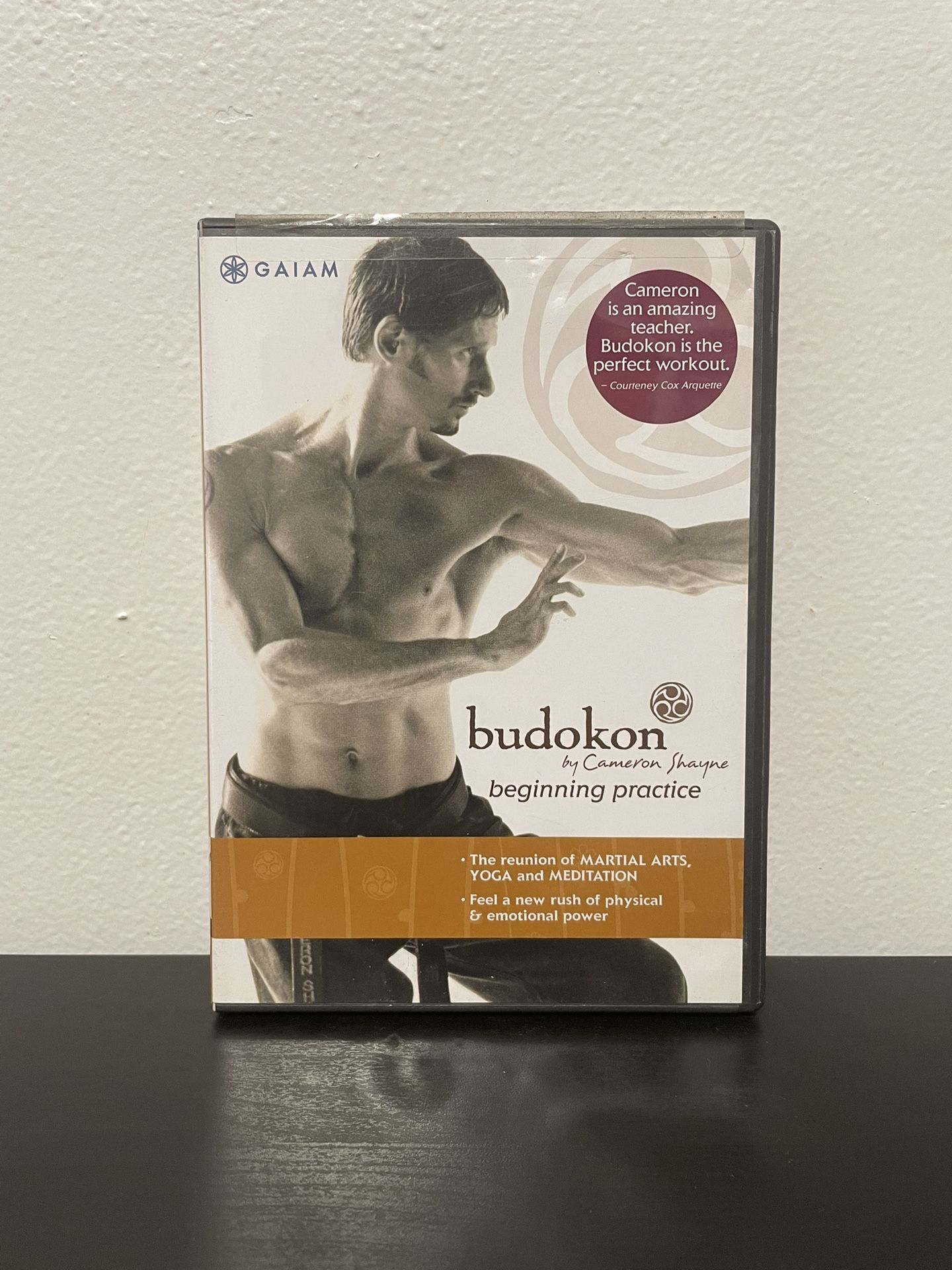 Budokon For Beginners DVD Martial Arts Yoga Meditation Gaiam Cameron Shayne 2005