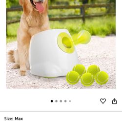 Automatic Dog Ball