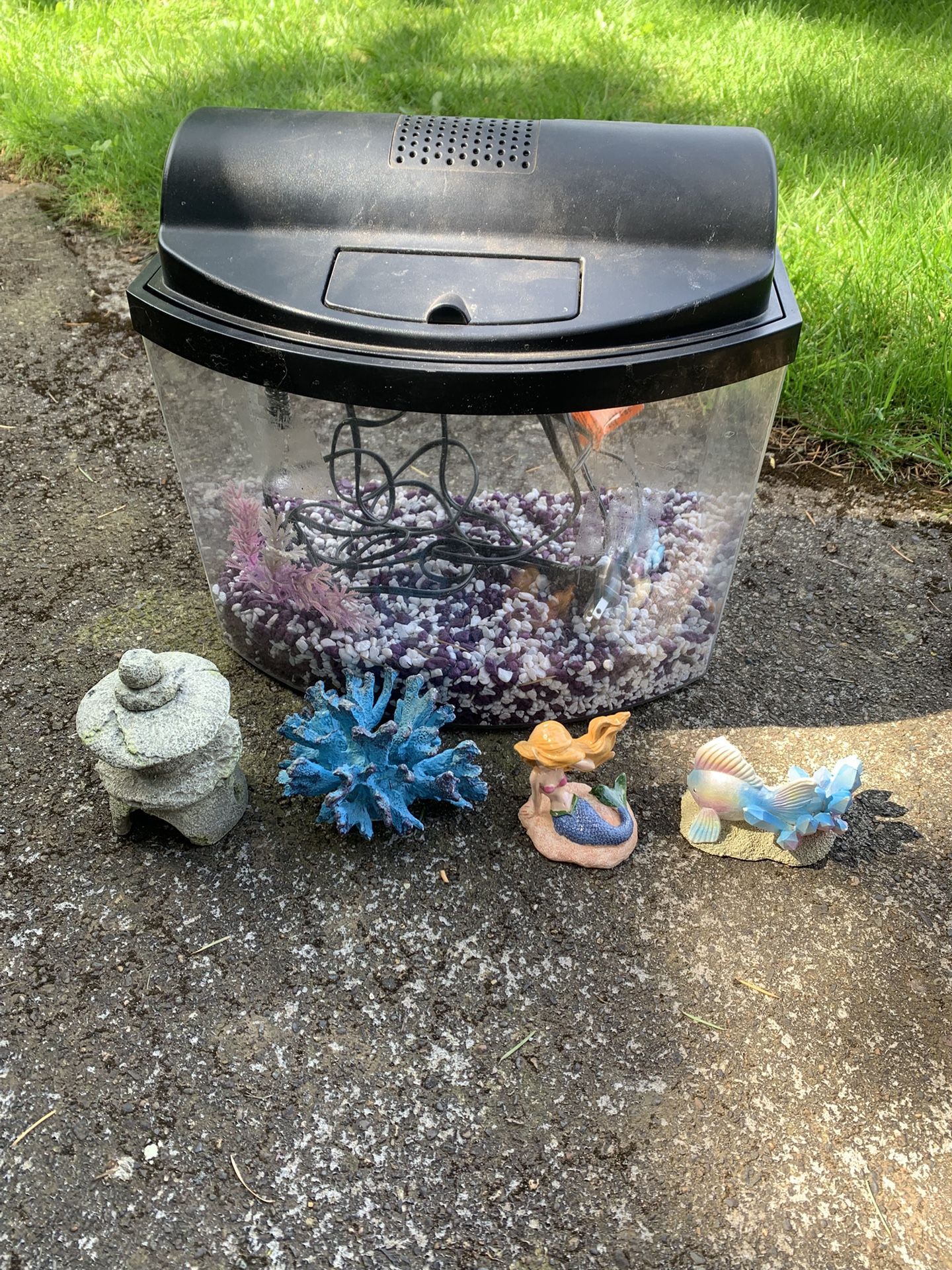 Fish Tank/ Aquarium