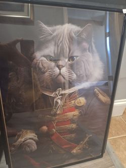 Framed cat in military uniform.