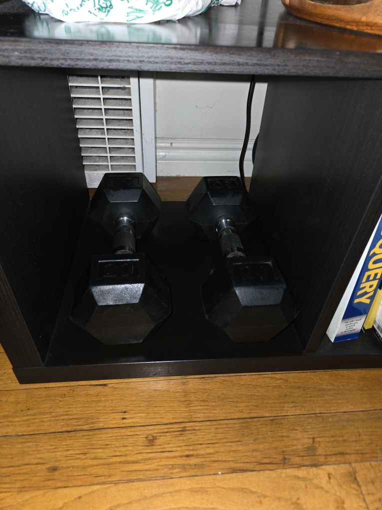2-20lb Weights