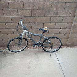 Avalon Comfort Series Bike