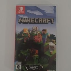 Nintendo Switch Minecraft SSD 