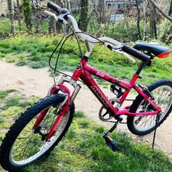 Magna Bike 20” Pink For Kids