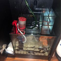 Red Sea reefer 45 gallons + extras