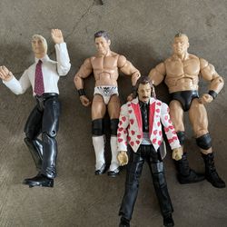Vintage WWE Action Figures 