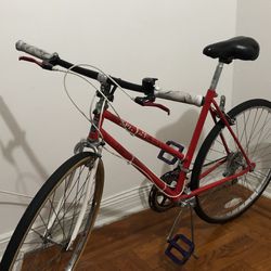 Bike Murray 