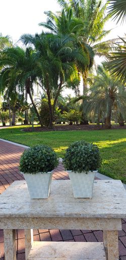 (2) Cute Artificial Plant w/ Metal Bottom