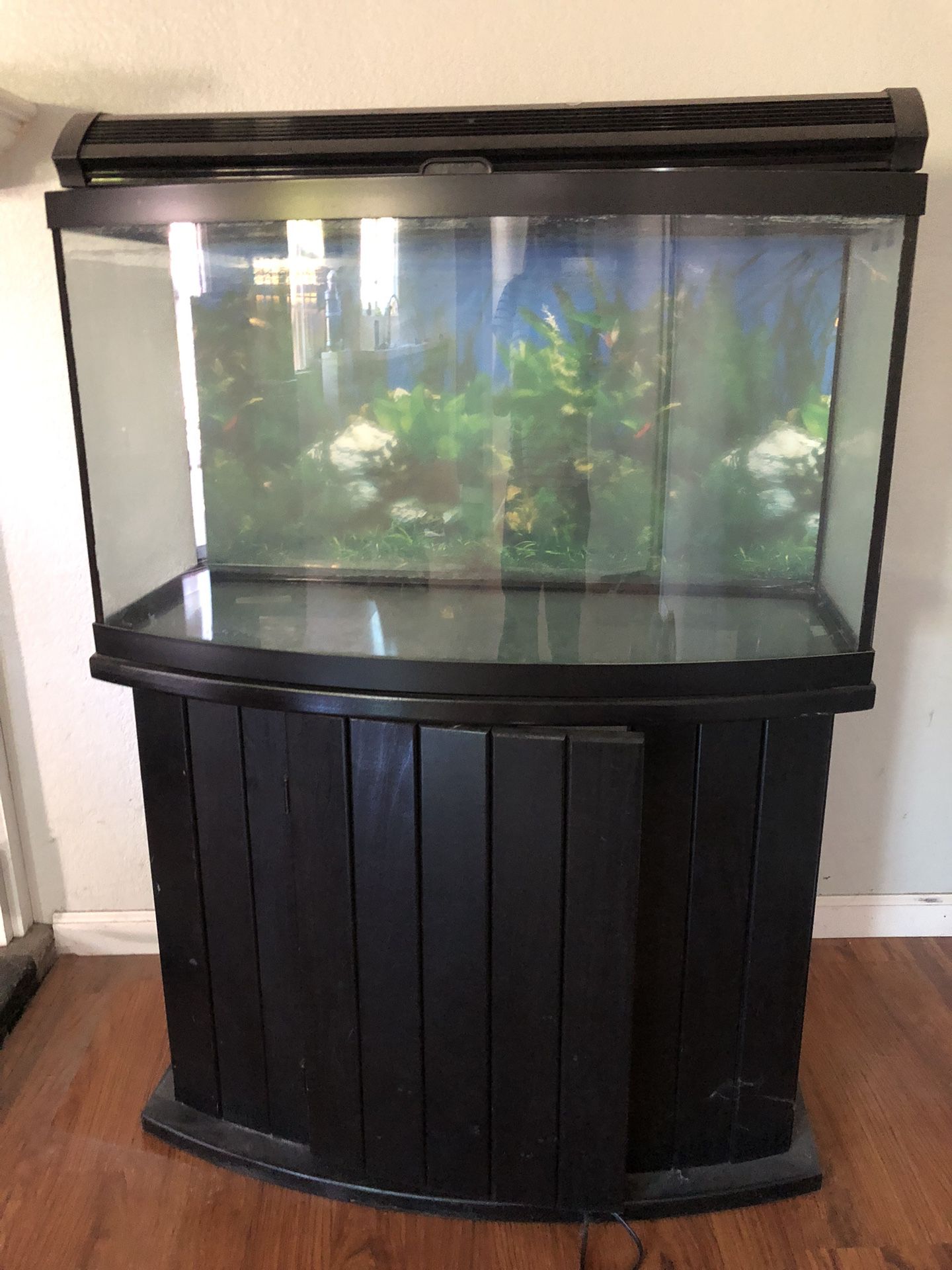 46 Gallon Bowfront Aquarium tank 