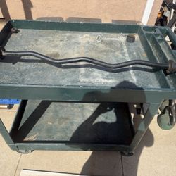 Olympic Curl Bar 