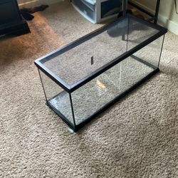 Lizard or reptile cage