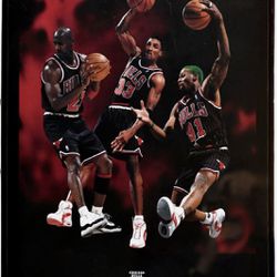 Dennis Rodman Basketball Chicago Bulls Vintage Sports Posters for