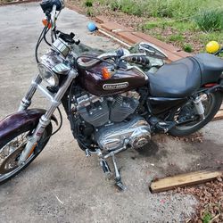Harley Davidson Sportster Xl Low 1(contact info removed)