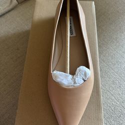 Steve Madden Pointed Toe Flat Shoe