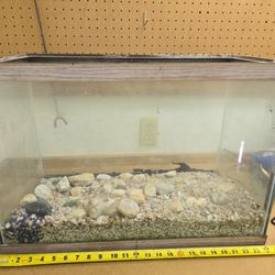 Glass Fish Tank Or Terarium.  First Come For Serve. 