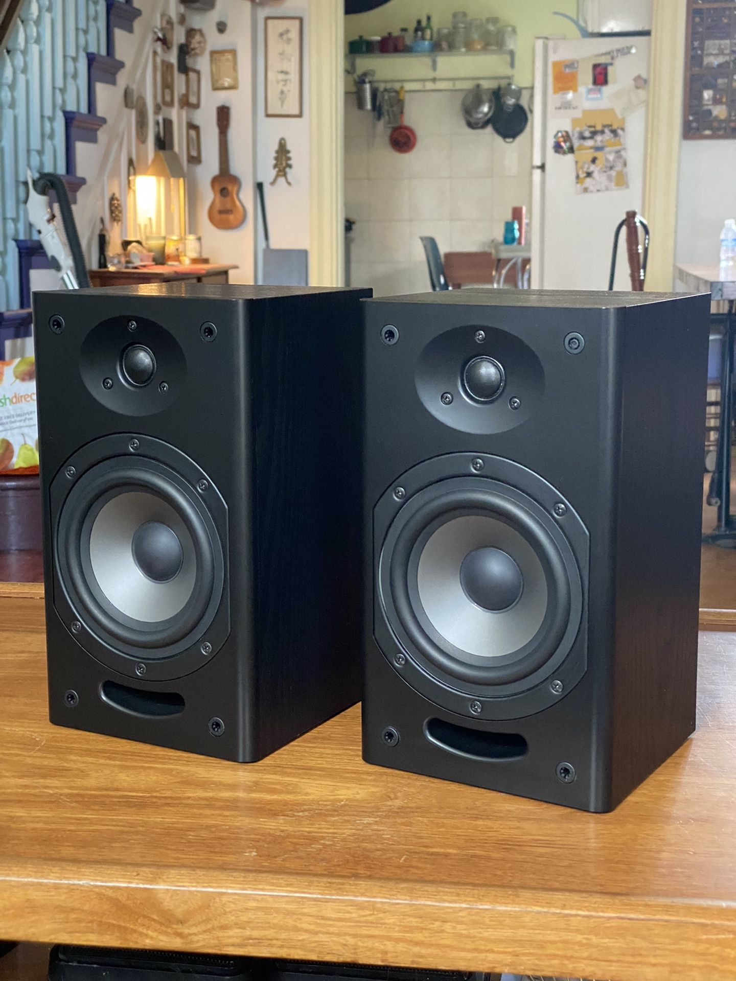 Insignia NS-SP213 Bookshelf Speakers