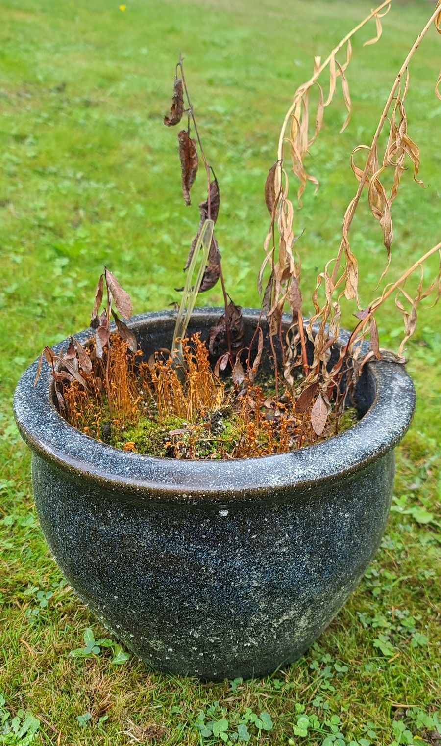 Cute Dark Color Speckled Ceramic Flower Pot