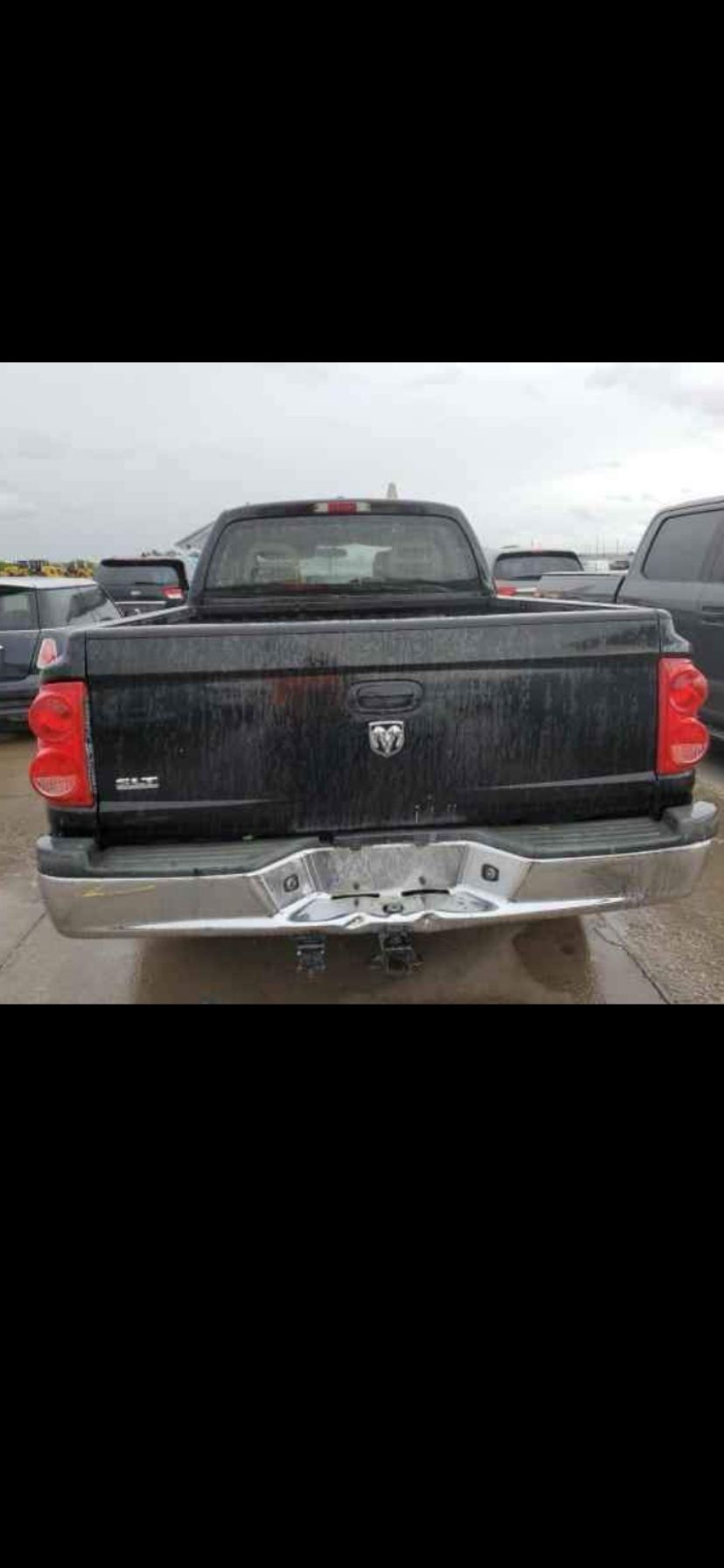 Dodge Dakota Bed