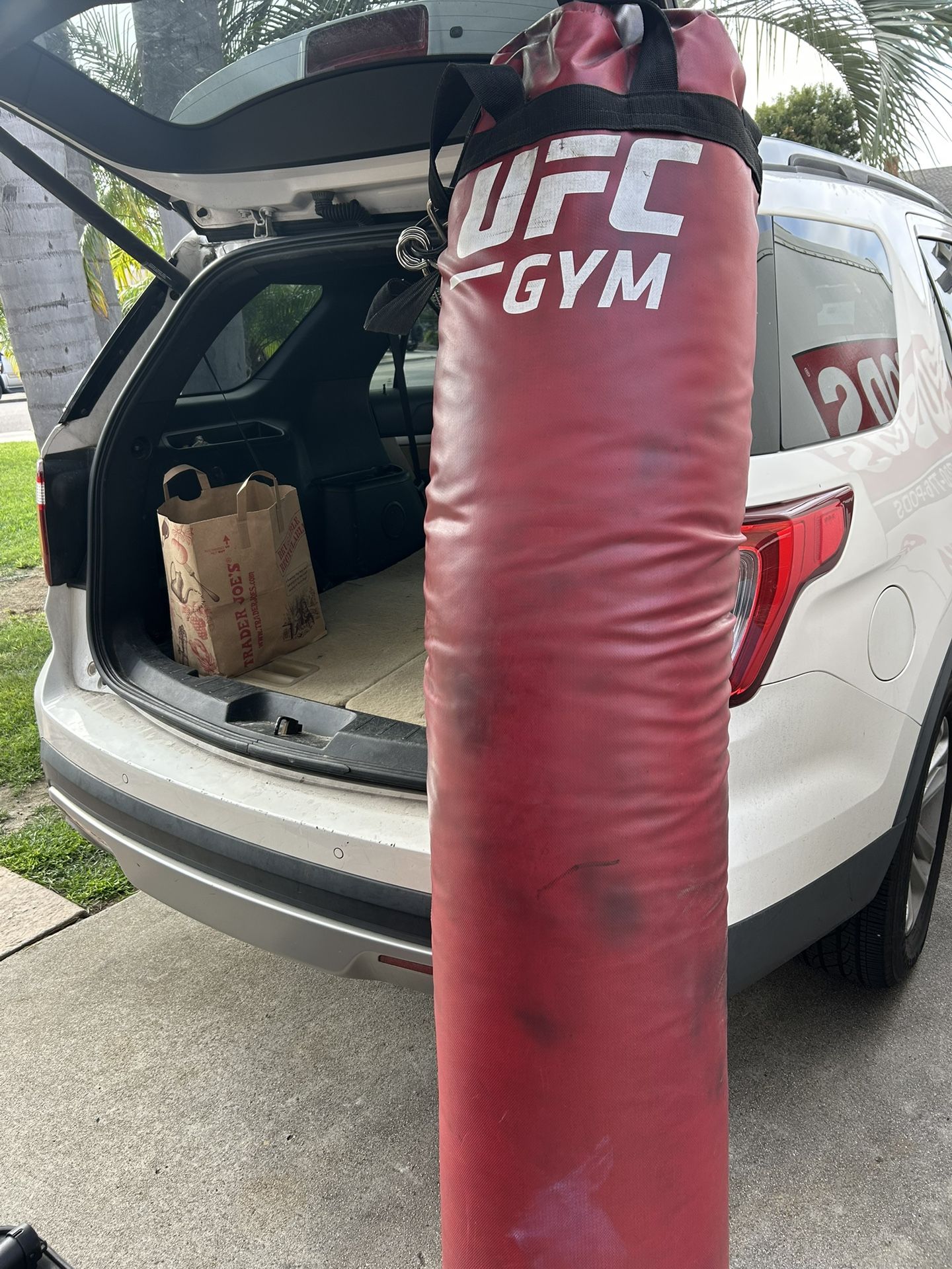 UFC Punching Bag