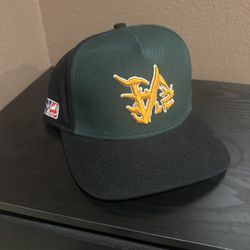 kill the hype snap back 