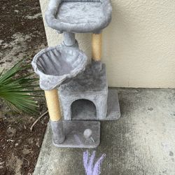 Cat House 