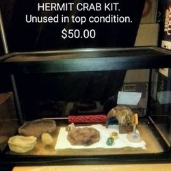 Hermit Crab Kit 