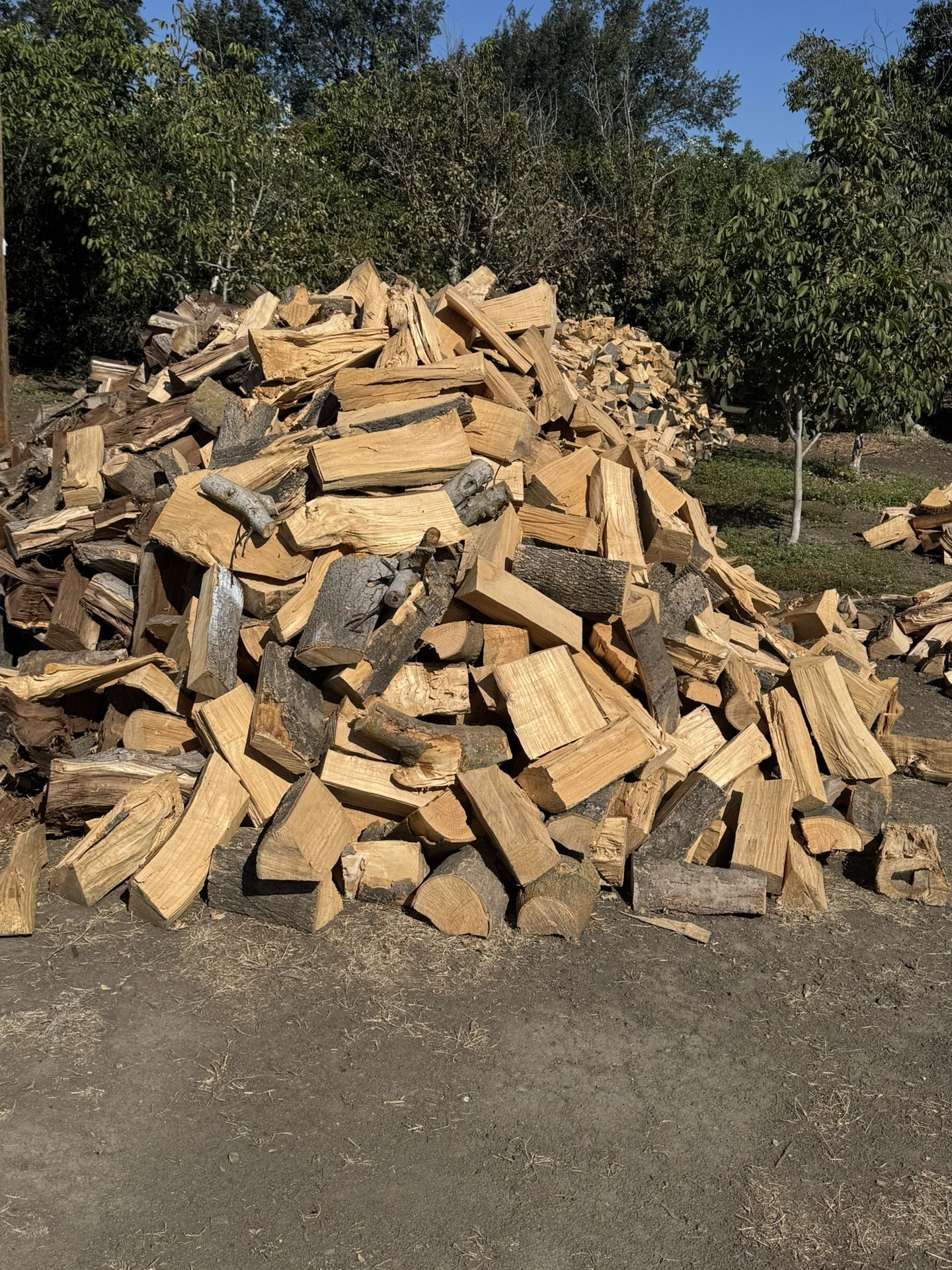 Seasoned Firewood πͺ΅ π₯