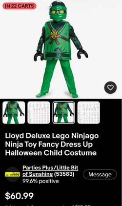Deluxe Lego Costume