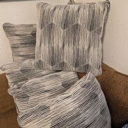 Couch Pillows Unused 
