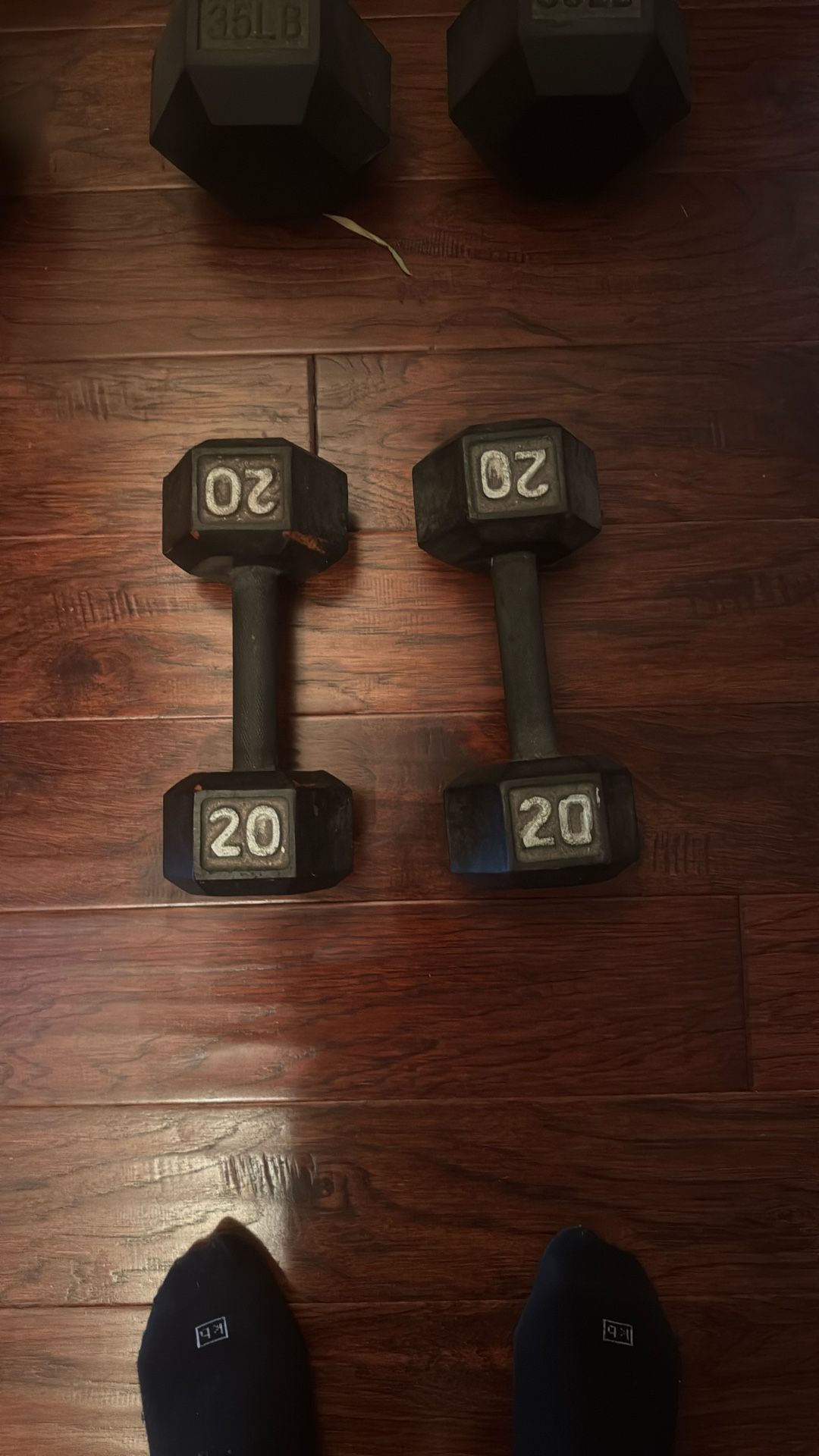 2 x 20lb Metal Weights