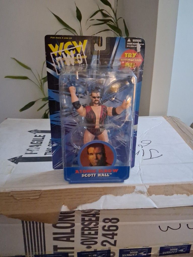 Scott Hall Figure