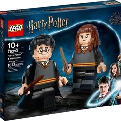 76393 LEGO Harry Potter & Hermione Granger Retired 
