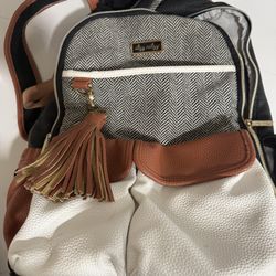 Itzy Ritzy Diaper Bag/Backpack