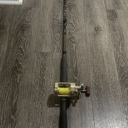 Shimano Calcutta 700 on custom crafted Star Rod 20-30 lb 7 ft