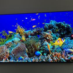 LG OLED TV