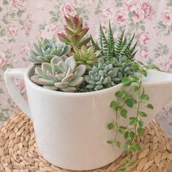 Pottery Ceramic Type Bowl/Plant Container•Measurements in photos•Please Read Description