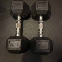 25lb Dumbbells 