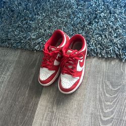 Grade School Nike Dunks Size 4Y