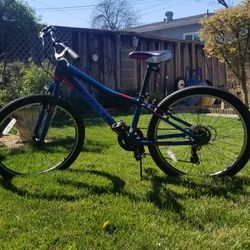 24 Giant Bike Xtc Jr 